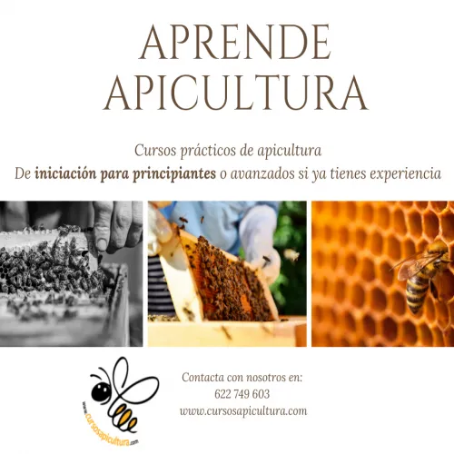 Curso presencial de iniciación a la apicultura